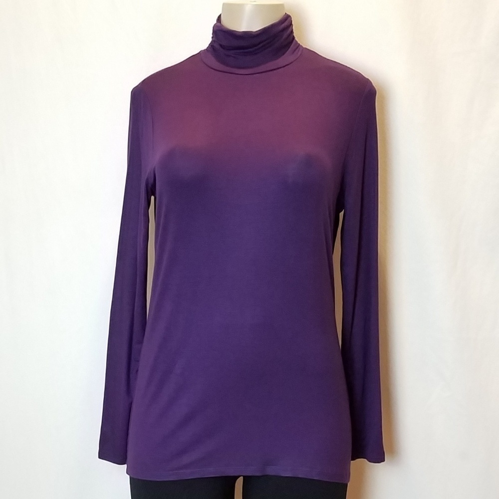 GREAT Northwest Rouched Turtleneck Top